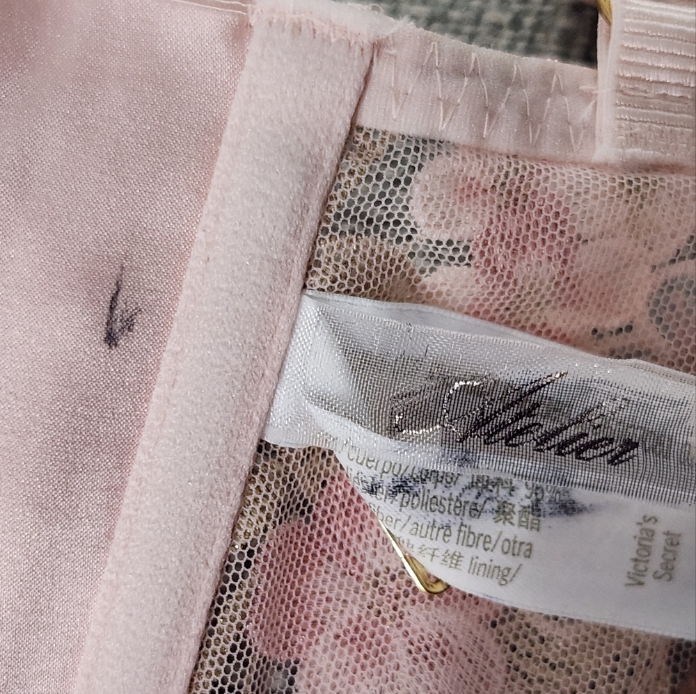 New!Victoria's Secret Atelier Enchanted Garden Corset - Picture 11 of 12